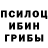 Псилоцибиновые грибы Psilocybe yana bts