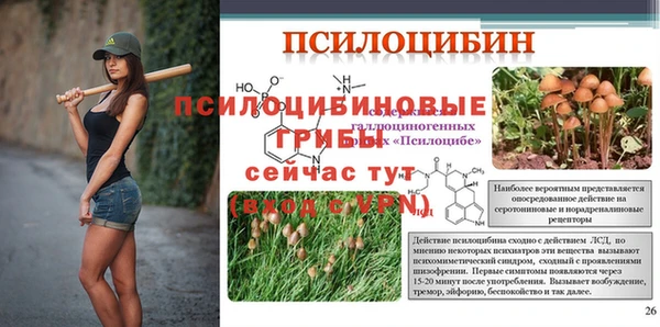 скорость Аркадак