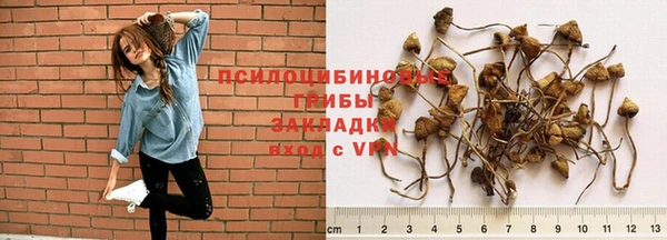 скорость Аркадак