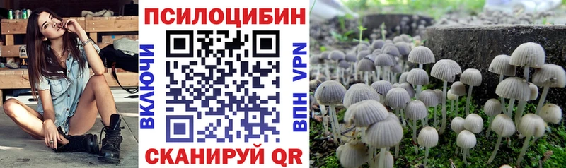 где продают   Безенчук  Галлюциногенные грибы Magic Shrooms 